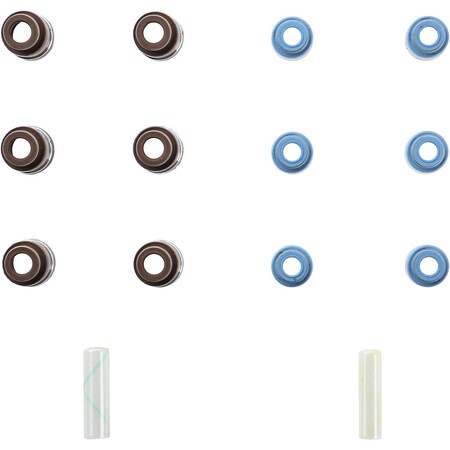 Reinz Engine Valve Stem Oil Seal Set, 12-10091-01 12-10091-01